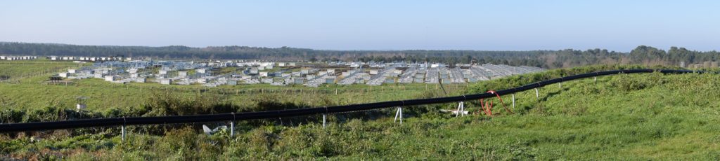 parc photovoltaique SMICOTOM et Valorem Le stockage des déchets ultimes SMICOTOM 33